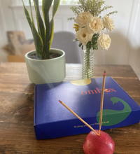 Load image into Gallery viewer, Diwali